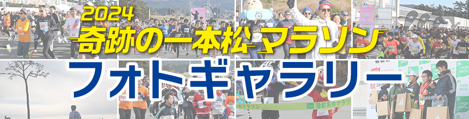 フォトギャラリー